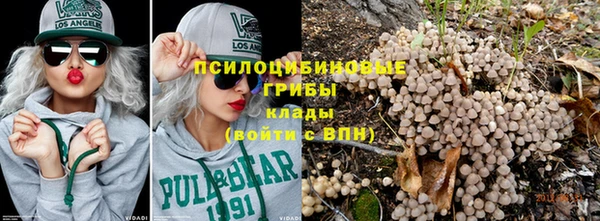 гашик Пролетарск