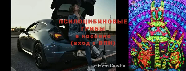 эйфоретик Арсеньев