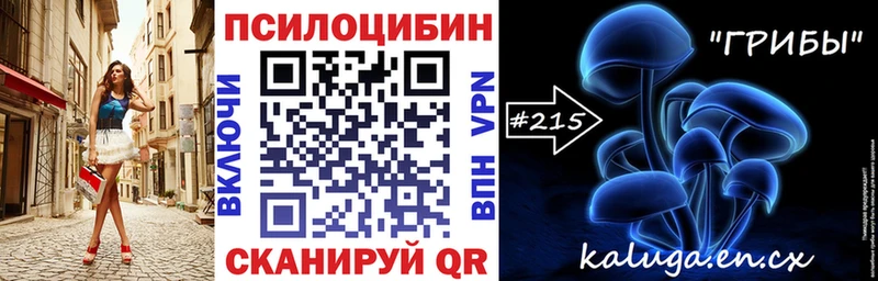 где найти наркотики  Сокол  Галлюциногенные грибы Psilocybe 